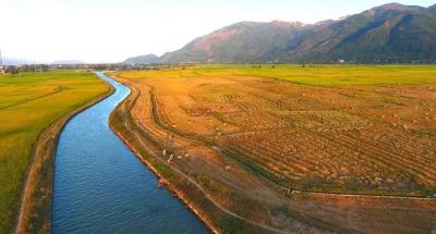 Khánh Hòa được thí điểm chuyển mục đích sử dụng đất trồng lúa quy mô dưới 500 ha