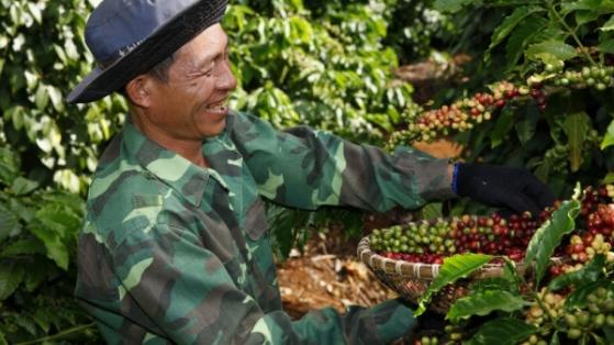 Xuất khẩu cà phê Việt Nam tăng trưởng mạnh trong tháng 2